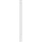 Ekena Millwork Raised Panel PVC Pilaster w/Decorative Capital & Base, 10"W x 120"H x 2"P PILP10X120RP02-2 - alternate 3